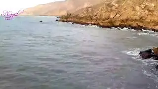 Fishing spot around Karachi Pakistan (Bhit Kundi Mubarak village)