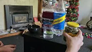 Cranberry minty pickle brew 