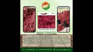 MAHI STEMLESS DRY RED CHILLI BENEFITS l JAI COMMERCIAL CENTRE l 2024 #agriculture #farming #plants