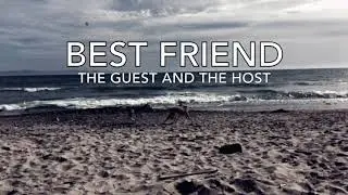 The Guest and The Host - 