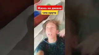 Жизнь на диване - это рай! #shorts  #юмор #shortvideo