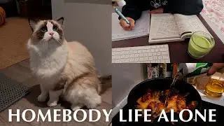 Homebody Life Alone Spicy Beer Chicken Recipe 🍺, Grocery Haul & Brushing My cats' Teeth! 🐱🐈