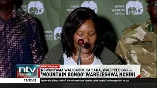 Kenya yapokea Mountain Bongo 17 kutoka marekani