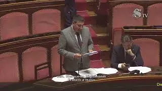 Roma - Senato - 19&deg; Legislatura - 378&deg; seduta (08.01.26)