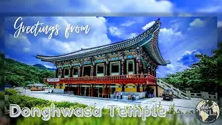 Globetrotterkyle visits Donghwasa Temple
