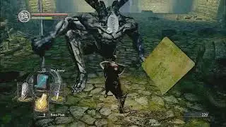 Dark Souls: Let's challenge the boss at church [with Solaire of Astora](pt2)