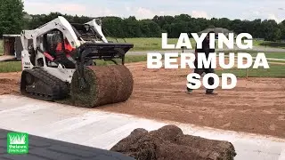 Laying Bermuda Sod