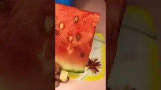 evening snacks chiku with watermelon |🍉| SF DIY WORLD #shorts #youtubeshorts #healtysnacks