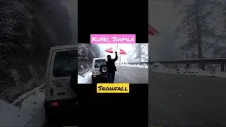 Kufri Snowfall #shimla #shorts #short #manali #snowfall #live