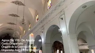 Agnus Dei VIII - De Angelis (Canto Gregoriano) / &Oacute;rgano de la Catedral de Cali.