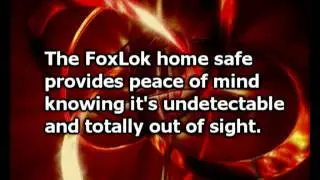 The FoxLok Underground Storage Safe