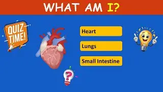 If you get 20 out of 30 correct, you are a science wizard//science quiz // human body quiz