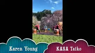 FREE Taiko Drumming 2024 Cherry Blossom Festival April Harvard Arnold Arboretum