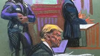 Donald Trump hush money criminal trial continues