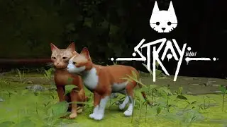 Stray PS5 - Gameplay Walkthrough Part 1 [60fps 1080p]