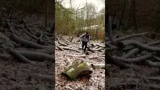 Walking Sounds, Logs & Snow #shorts #walkingsounds