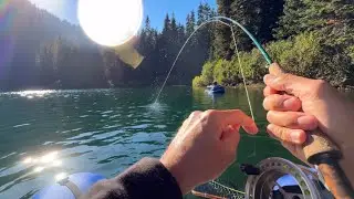 Fly Fishing for RARE Trout in an Alpine Lake