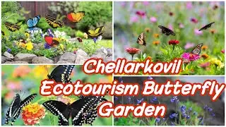 Chellarkovil Ecotourism Butterfly Garden 🦋🪴 ||Travel Vlog||Idukki trip