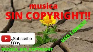 🎵🎵MAZE 🎵🎵 [Audio Library Release] 🎵🎵&middot; Free Copyright-safe Music🎵🎵
