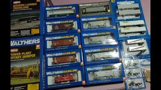 Walther's Gold Mystery Box Haul 3/5/25!
