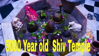 5000 year old Shiv Temple in India| Firojpur Jhirka Pandavkalin Shiv mandir