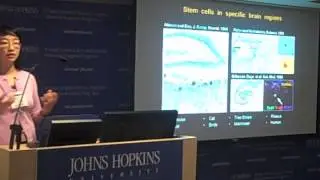 Stimulating the Brain's Stem Cells, Part I