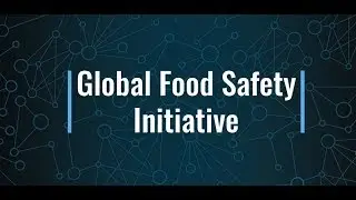 GFSI &ndash; Explained in Simple Terms