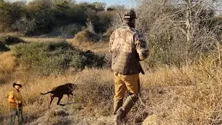 Partridge hunting in pakistan 2022,2023