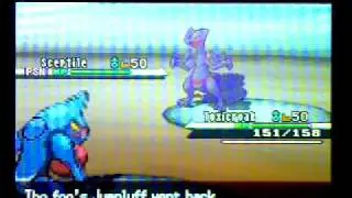 PKMN Random wifi: Guest battle with KYLE!