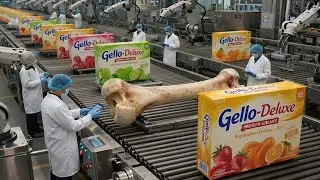 Inside a Modern Premium Gelatin Factory: From Raw Bones to Industrial Gelatin Powder (Full Process)