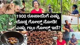 1900 ರೂಪಾಯಿಗೆ ಎಷ್ಟು ದೊಡ್ಡ ಗೋಲ್ಡ್ ನೋಡಿ!ಎಷ್ಟು ಗ್ರಾಂ ಗೋಲ್ಡ್ ಇದೆ?|🍄ವಿಷದ ಅಣಬೆಗಳು🍄|Kannada vlogs