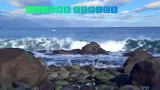 Peaceful nature || Relaxing music || Nature Ethics #sea #meditationmusic #nature