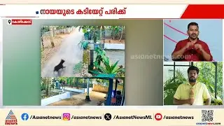 വളർത്തുനായയുടെ കടിയേറ്റ് വിദ്യാർത്ഥിക്ക് പരിക്ക്; സംഭവം കോഴിക്കോട് | Kozhikode | Dog attack