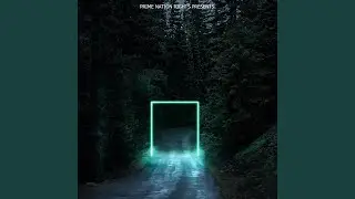 Shock Pulse