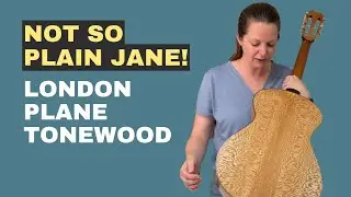 Not so plain Jane - London Plane TM model
