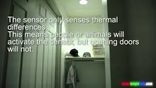 A19 Globe Bulb with Integrated Motion Sensor