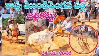 కాపు మొండివెంగన పల్లి జల్లికట్టు 🔥🔥{14-01-2026}Kapu mondi venganapalli Jallikattu|#jallikattu2026😍😍