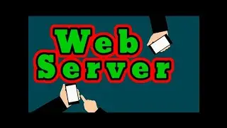Web Server | Types of Web Server | How does it work | Mirza BirdsCare