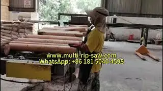 Production Line for Making Wooden Pallets Contains Log Multi Rip Saw Plank Multi Blade Saw Machine