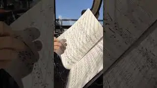 Летняя веранда на крыше отеля Magic Harp (Moscow) Пусть всегда будет summertime ☀️