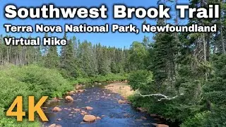 4K Virtual Hike - Southwest Brook Trail - Terra Nova National Park, Newfoundland and Labrador