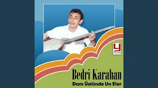 Dam &Uuml;st&uuml;nde Un Eler
