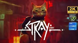 Stray | I9 14900K - RTX 4090