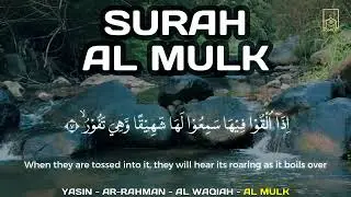 Peaceful Quran Recitation | Surah Yasin, Al-Mulk, Ar-Rahman, Al-Waqiah