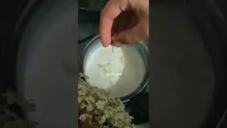 🌿 FLor de sa&uacute;co: para la tos???