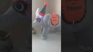 Gemmy 2016 3.5ft Halloween Elephant Inflatable Review