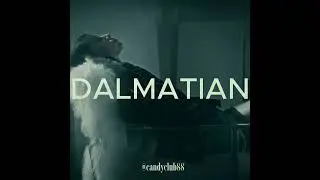 @cc88 - dalmatian 133 bpm G# minor #rnbtypebeat #rnbbeats #rnbtypebeat2025 #melodic #vibestype