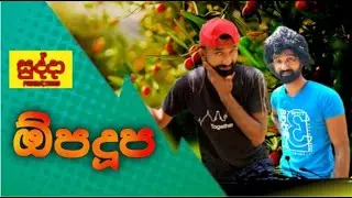 ඔිපදුප  -  opadupa  - sudda productions
