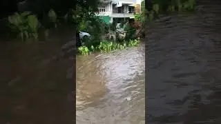 Lahore after Raining | Johar Town Lahore | Flood in Johar Town Lahore