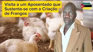 Visita ao Criador de Frangos Constantino: Desafios e Soluções na Venda em Moçambique